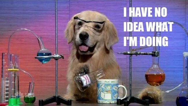 Weight Stigma & Internet Memes